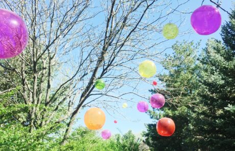 assorted-color-balloons-attached-on-tree-branches-1370700